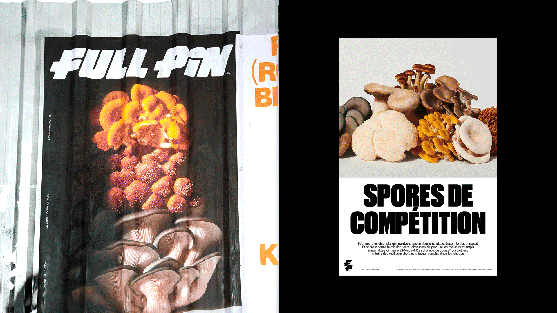 Logotype, logo, art direction, packaging and merchandise for mushroom business Full Pin by Rethink
