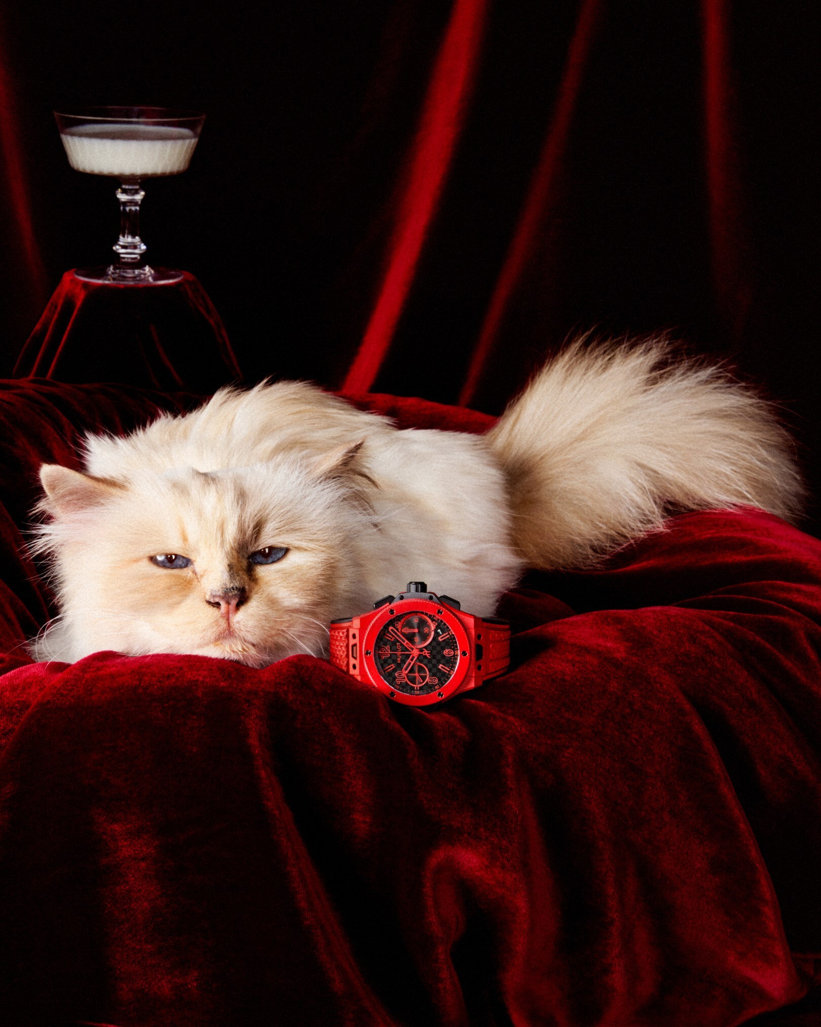 Hublot-Choupette | World Branding Forum Hublot Big Bang 20th Anniversary Red Magic and Choupette. Image source: Hublot